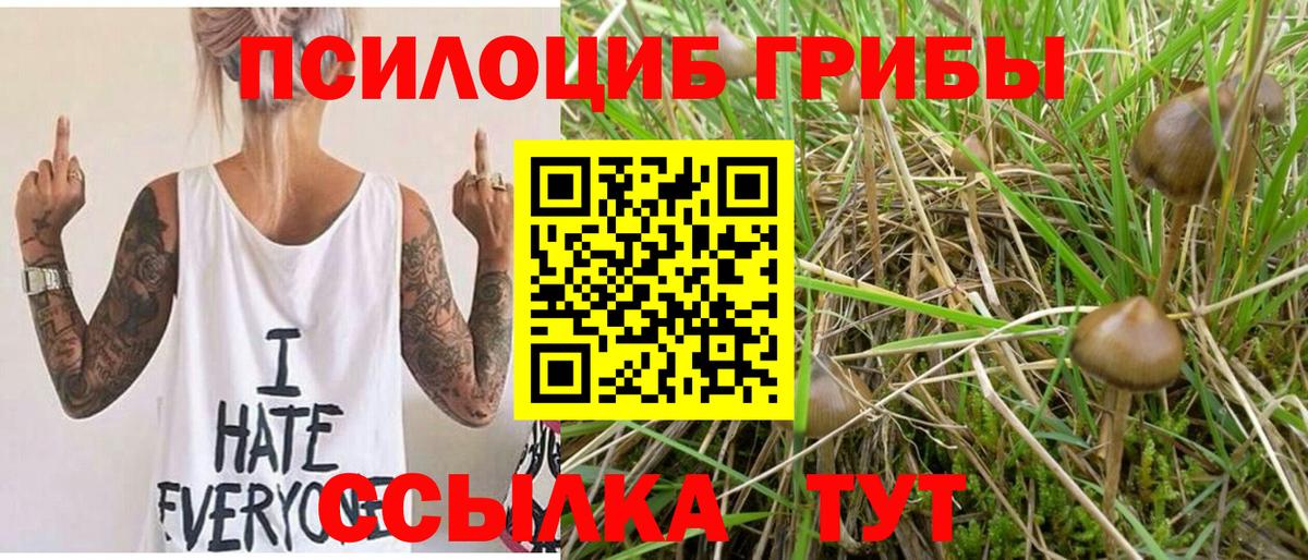 Псилоцибиновые грибы ЛСД Лесной